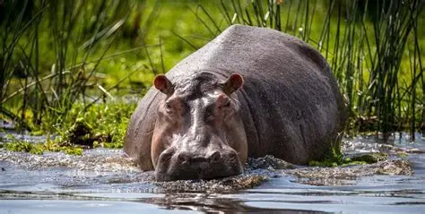 Your Adventure Becomes Someone’s Opportunity.