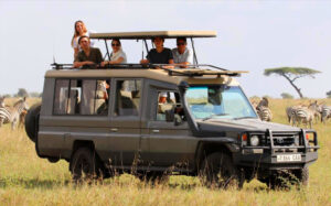 Safari vehicle