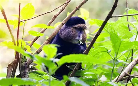 Mukura National Park