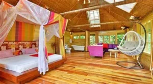 Reservation Services at Iwacu one tours