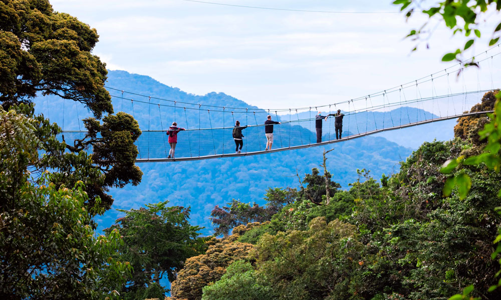 Nyungwe Forest National Park